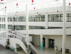 A maior parte dos centros de Secundaria inician o curso cun recorte importante de profesorado que lles impede atender todas as necesidades educativas e obrígaos a renunciar a participar en determinado