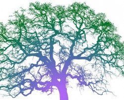 Participa o 17 de maio na manifestación que sairá ás 12 desde a alameda de Compostela